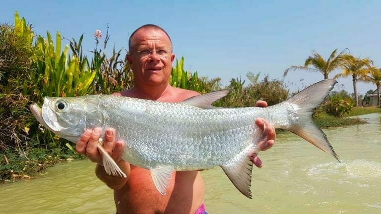 tarpon fishing thailand